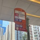 씨티플라자 앞 이미지