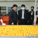 농산물유통사업소