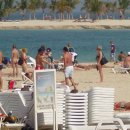 비취