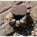 남일대리조트 산호장 이미지