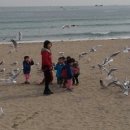 끼룩끼룩