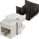 강원전선 주식회사 이미지