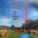 대전식육식당 이미지