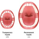 나비치과의원 이미지