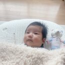[베이비시터 구하기] 맘시터/시터넷/단디헬퍼 어플 - 시급, 장단점, 가격비교 (내돈내산 후기)