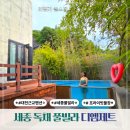 세종펜션 대전 근교 풀빌라 디엠제트 독채 추천