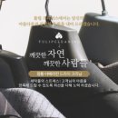 명품크리닝세탁 이미지