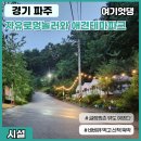 자유로멍놀러와 애견테마파크