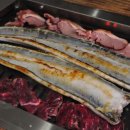 생생장어 이미지