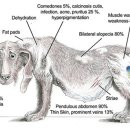 마송 동물병원 이미지