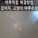 마루(A) | 마루찍힘 해결방법 강아지 고양이 마루긁힘, 찍힘 복원한 후기