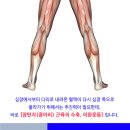 정맥고혈압 관리 및 예방, 어떤 것부터 시작할까요? 이미지