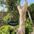 죽로원게스트하우스