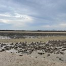 지에스25태안해안점 이미지