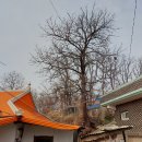 원곡면 게이트볼장 이미지