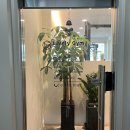 라이블리짐 이미지