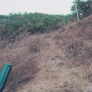 시동농장 이미지