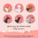 분당24시동물의료센터 이미지