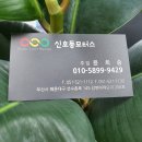 선수촌로 145 이미지