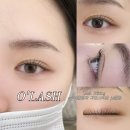 CU 첨단미소점 | 광주 속눈썹펌 첨단속눈썹펌 노글루 수분펌의 정석 (오래쉬 후기)