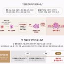 면역자연치유센터 이미지