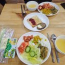 귀부인침구커텐 | 🇲🇳 몽골 모두투어 패키지 11월 겨울 여행 테를지 국립공원 숙소 1박2일 신식 게르 숙박 후기 석식 조식