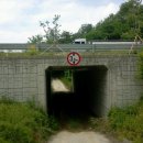 은행목장 이미지