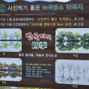 카페247 이미지