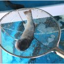 태백수족관 이미지