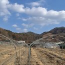 광판순두부 이미지