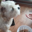 정선뜰펜션2 이미지