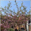 자연의미소민박 이미지