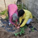 금일읍-5 이미지