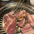 금촌금고기 이미지