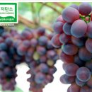 (주)이슬환경