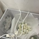 스타시티 | Step 19. 건대 스타시티 아트홀 본식 후기 (리모델링 후기, 혼주 메이크업)