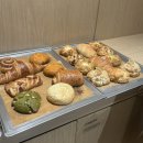 포곡제일빌딩 | 2026년, 2월의 나🫧🩷