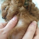 처음동물병원 이미지