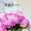 은하수와토끼