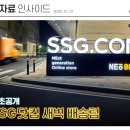 겁도 없이 한여름에 생선회를 새벽배송하는 사람들의 정체