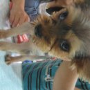 예당한방병원 이미지