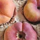 대황농장 이미지