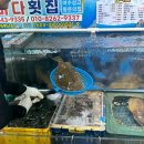 (주)에바다수산
