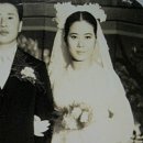 로얄 맨숀