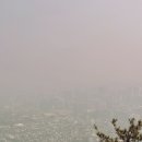 서촌 | 서촌 카페 와인바 와인슈타인 서촌 런치클럽 후기