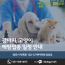 덕계 원 동물병원 이미지