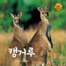 시골생활