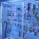 뽑기가 안되면 홍성스쿨 이미지