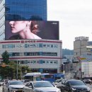 고이비토 이미지