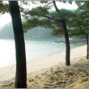 꾸지나무골해수욕장 이미지